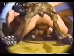 A horny dog drools in his own juice, leaving a fur pie behind.